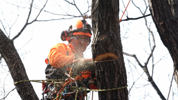 ▲'극한직업'(사진제공=EBS1)