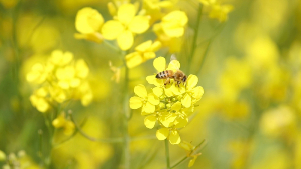 ▲'신계숙의 맛터사이클 다이어리' 제주(사진제공=EBS1)