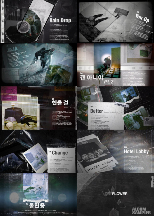 (사진 = 페노메코 'Dry Flower' 샘플러 영상 캡처)