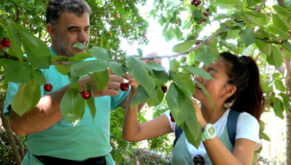 ▲'세계테마기행' 그리스(사진제공=EBS1)