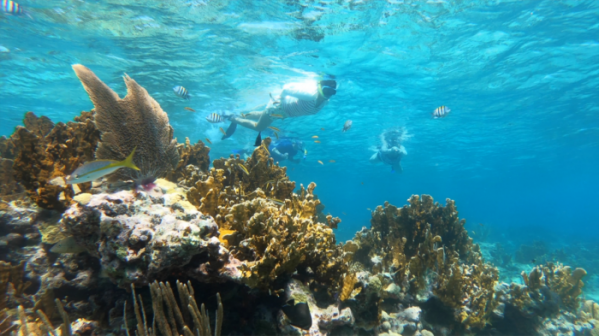 ▲'걸어서 세계속으로' 쿠바(사진제공=KBS 1TV)