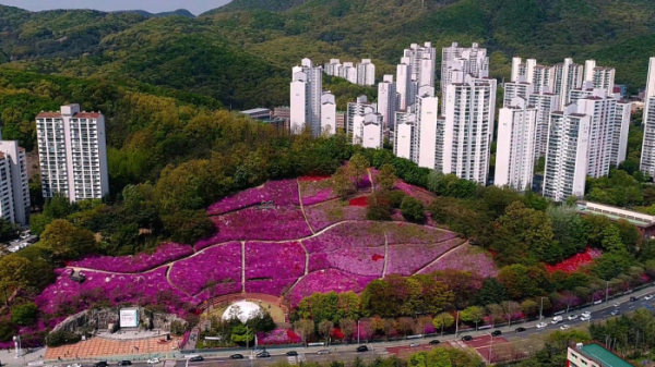 ▲'김영철의 동네 한 바퀴' 철쭉동산(사진제공=KBS 1TV)