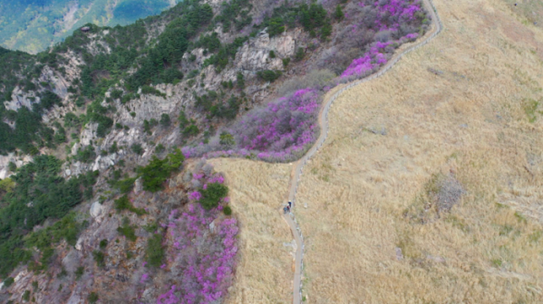 ▲'영상앨범 산' 창녕 화왕산(사진제공=KBS 2TV)