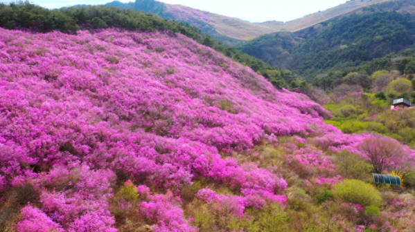 ▲'영상앨범 산' 창녕 화왕산(사진제공=KBS 2TV)