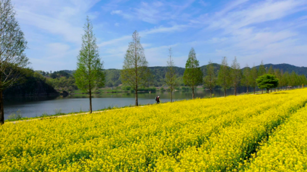 ▲'영상앨범 산' 창녕 화왕산(사진제공=KBS 2TV)