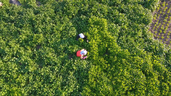 ▲'다큐멘터리 3일' 울릉도 (사진제공=KBS 2TV)