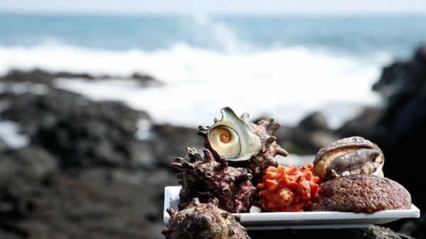▲'신계숙의 맛터사이클 다이어리' 제주(사진제공=EBS1)