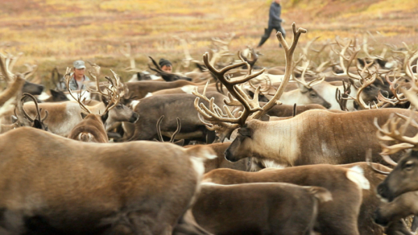 ▲'세계테마기행'(사진제공=EBS1)