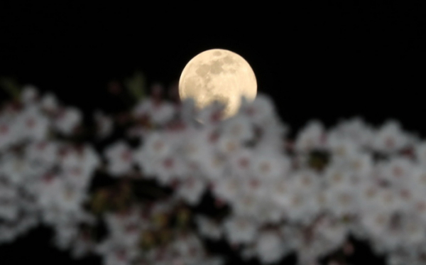 ▲지난해 4월 7일 오후 서울 하늘에 올해 뜨는 가장 큰 달(슈퍼문)이 떠 있다. 기상청에 따르면 오늘은 흐린 날씨 탓에 ‘슈퍼문’을 제대로 보기 힘들 전망이다. (뉴시스)