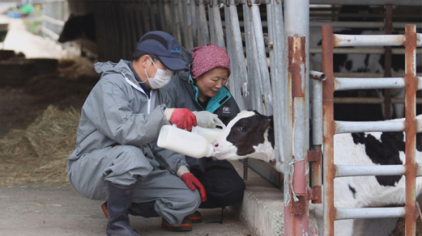 ▲'서민갑부' 목장(사진제공=채널A)