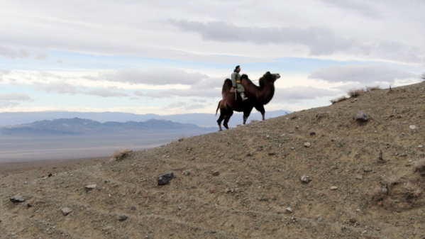 ▲'세계테마기행'(사진제공=EBS1)