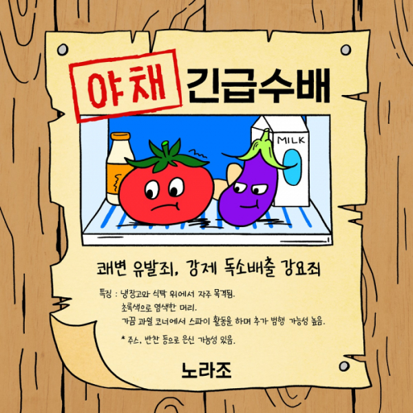 ▲노라조(사진 = 마루기획 제공)