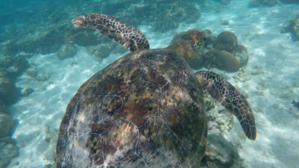 ▲'걸어서 세계속으로'(사진제공=KBS 1TV)