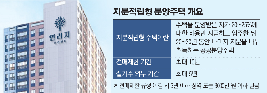 (그래픽 손미경 기자 sssmk@)