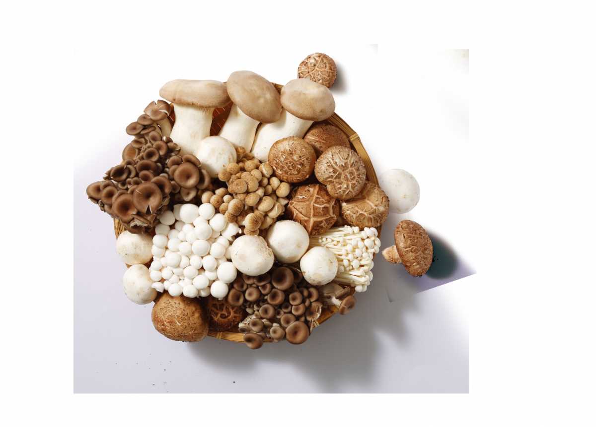 (사진제공=이마트)