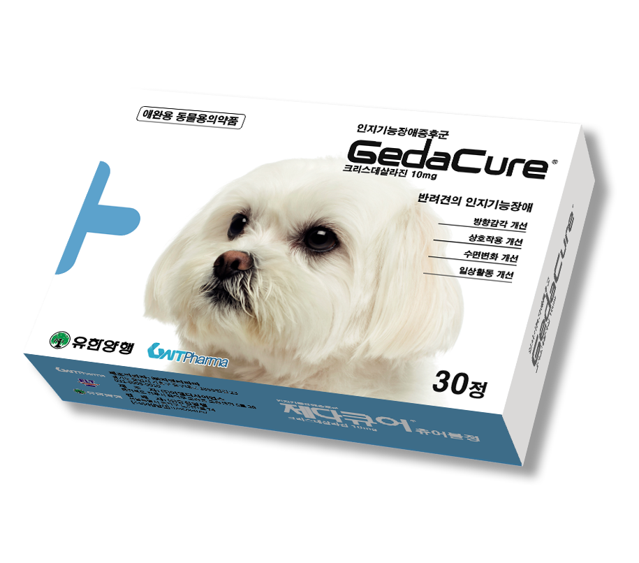 (사진제공=유한양행)