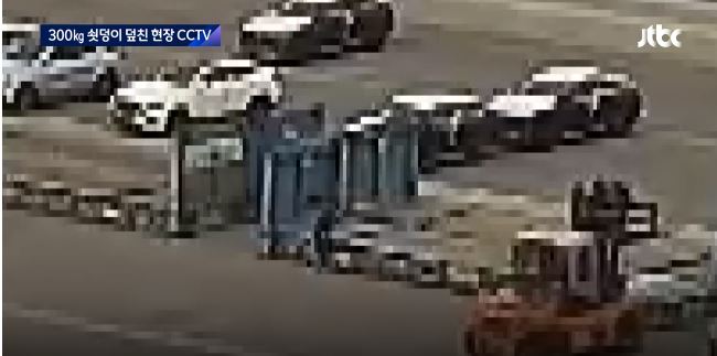 (출처=JTBC 뉴스룸 캡처)