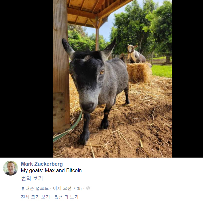 ▲마크 저커버그 페이스북 최고경영자(CEO)의 페이스북 게시물 캡처.
