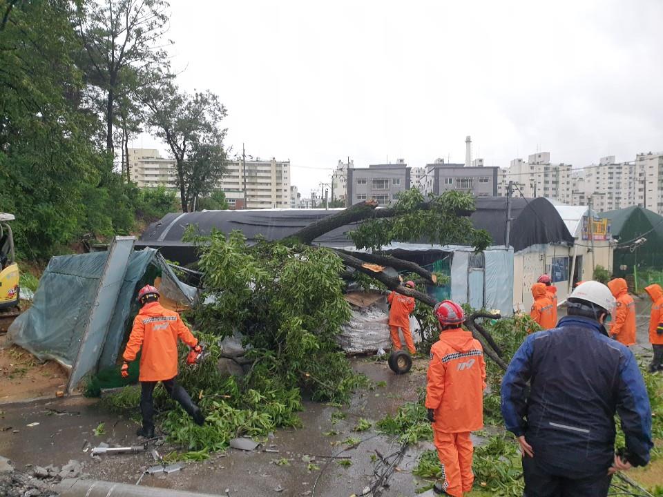 (사진제공=서울시)