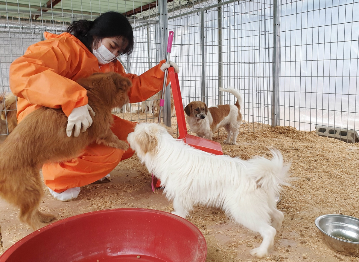 ▲유기동물 보호시설. (뉴시스)