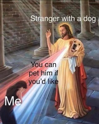 ▲일론 머스크가 도지코인를 연상하게 하는 이미지를 올렸다. (사진=일론머스크 트위터)