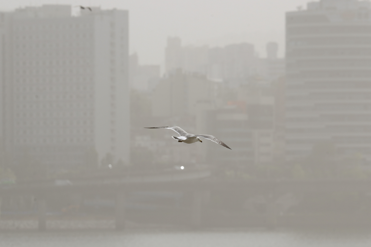 ▲서울 마포대교에서 바라본 서울 대기가 뿌옇다. (뉴시스)