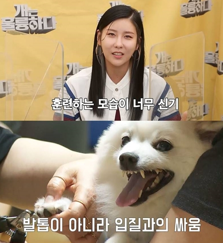 ▲‘개는 훌륭하다’(사진제공=KBS 2TV)