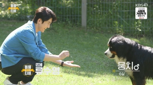 ▲'류수영의 동물티비'(사진제공=KBS 2TV)