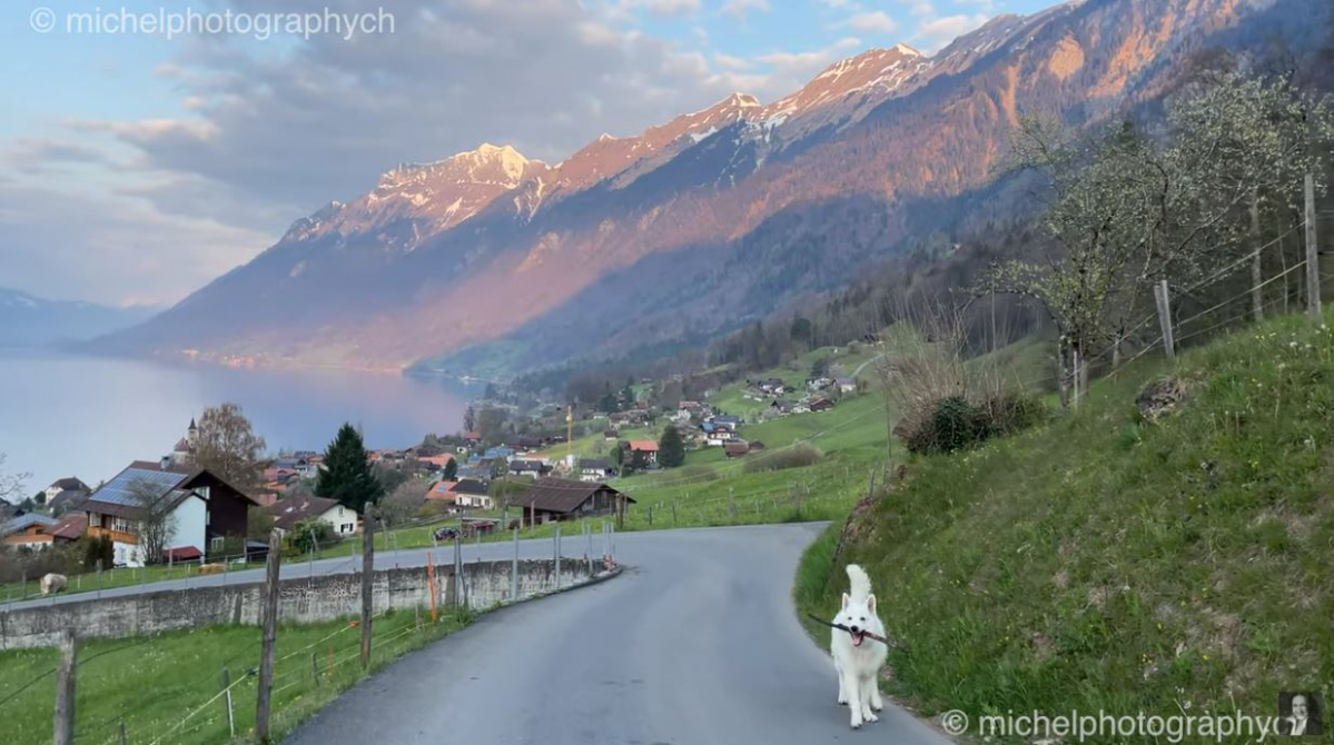 ▲실제로 중국으로 소개된 영상은 스위스의 한 유튜버가 올린 영상을 허락없이 불법으로 가져온 것이었다. (사진출처=michelphotographych 유튜브 영상 캡처)