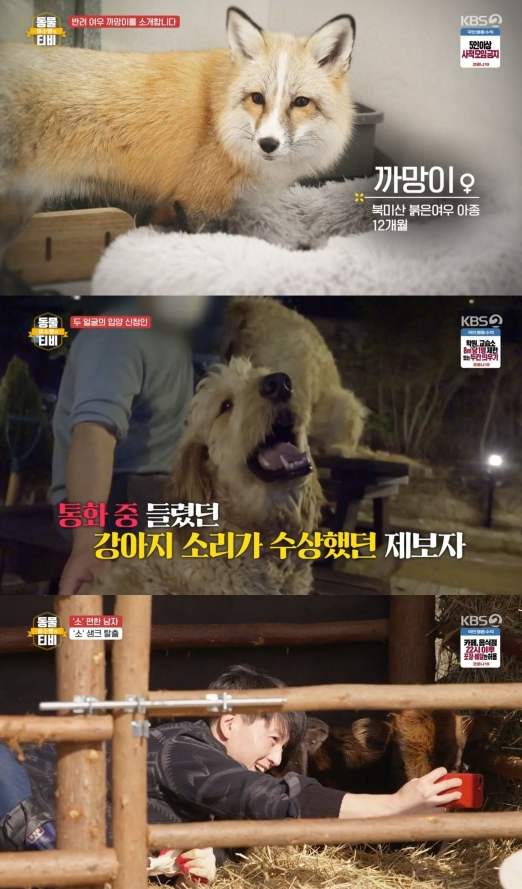 ▲'류수영의 동물티비'(사진제공=KBS 2TV)