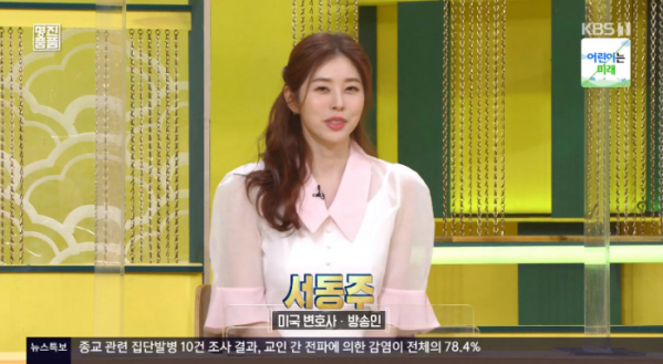 ▲서동주 미국 변호사·방송인(사진=KBS1 '진품명품' 방송화면 캡처)