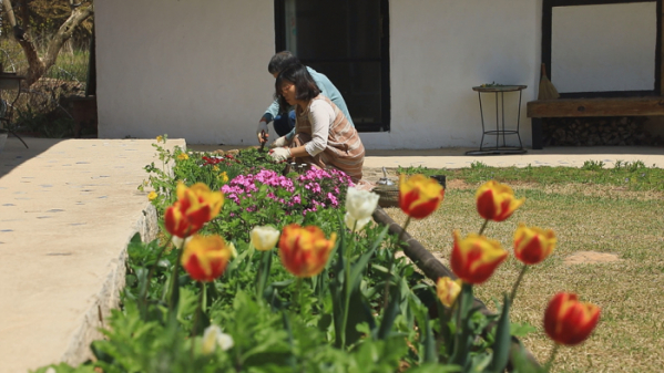 ▲'한국기행'(사진제공=EBS1)