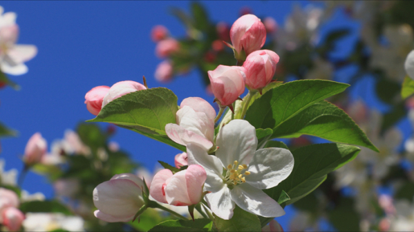 ▲'한국기행'(사진제공=EBS1)