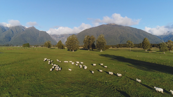 ▲'세계테마기행' 뉴질랜드(사진제공=EBS1)
