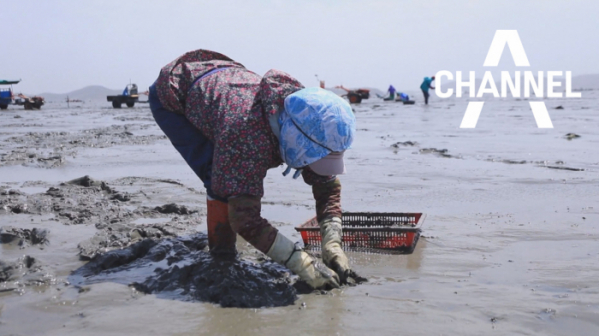 ▲‘관찰카메라 24’ (사진제공=채널A)