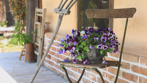 ▲'한국기행'(사진제공=EBS1)