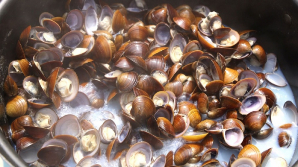 ▲'한국인의 밥상'(사진제공=KBS 1TV)