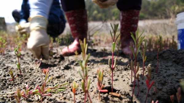 ▲'한국인의 밥상'(사진제공=KBS 1TV)