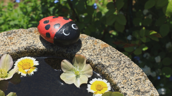 ▲'한국기행'(사진제공=EBS1)