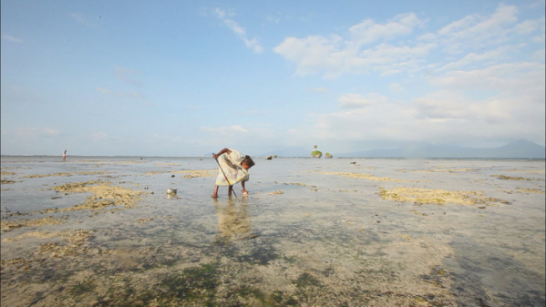 ▲'세계테마기행' 보르네오(사진제공=EBS1)