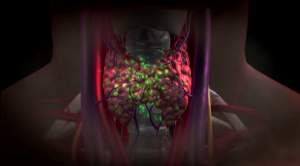 ▲'명의' 갑상선(사진제공=EBS1)