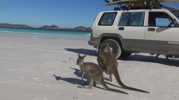 ▲'걸어서 세계속으로' 호주(사진제공=KBS 1TV)