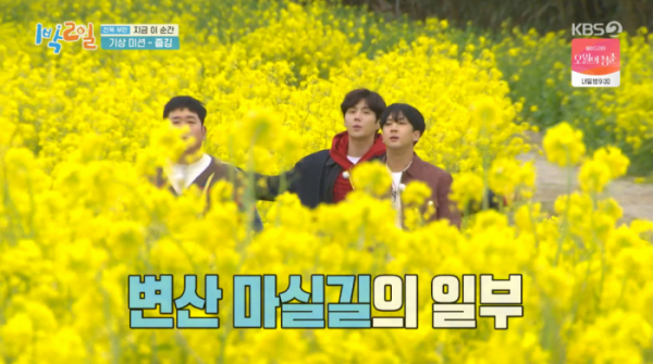 ▲변산 마실길 줍깅(사진=KBS2 '1박 2일 시즌4' 방송화면 캡처)