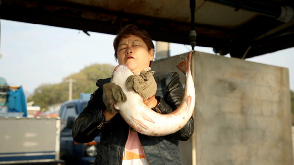 ▲'신계숙의 맛터사이클 다이어리' 남해(사진제공=EBS1)