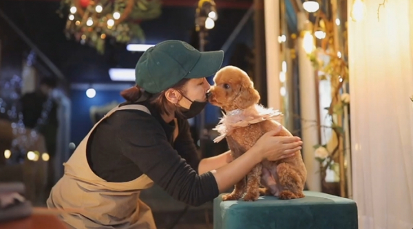 ▲'류수영의 동물티비'(사진제공=KBS 2TV)