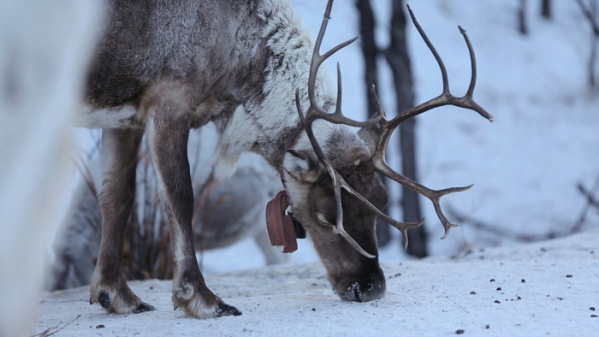▲'세계테마기행' 중국 네이멍구(사진제공=EBS1)