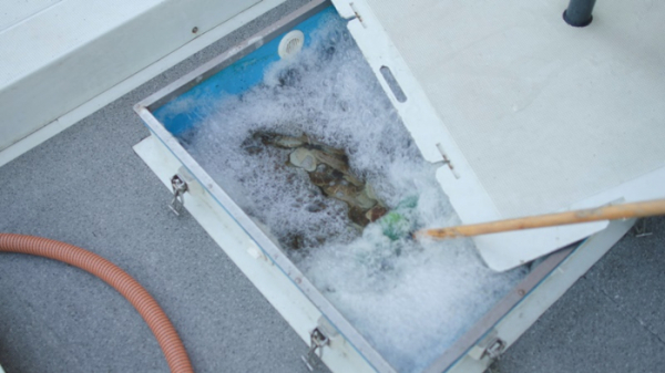 ▲'시사직격'(사진제공=KBS 1TV)