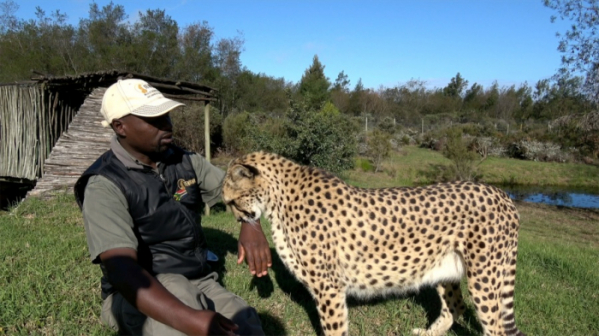 ▲'걸어서 세계속으로'(사진제공=KBS 1TV)