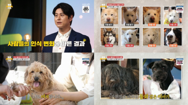 ▲'류수영의 동물티비'(사진제공=KBS2)