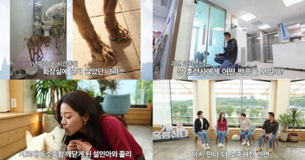 ▲'개는 훌륭하다'(사진제공=KBS 2TV)
